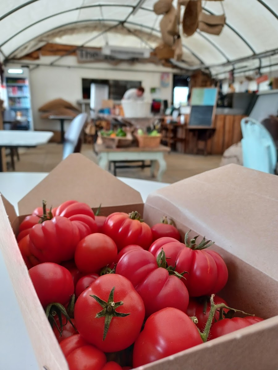 The Ionian Wood Fired Kitchen ＆ Farmshop-7